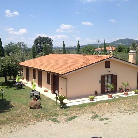 בולסנה Agriturismo La Piantata מראה חיצוני תמונה